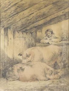 Pigs In A Sty