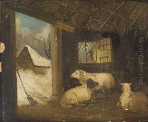 Sheep In A Stable In Winter