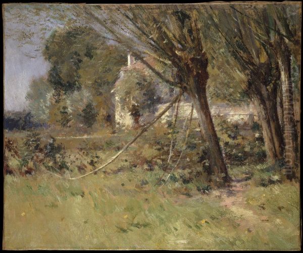 Willows - view 1