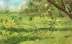 Apple Blossoms thumbnail