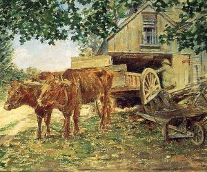 Oxen