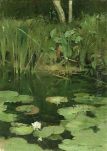 Water Lilies by Theodore Robinson
