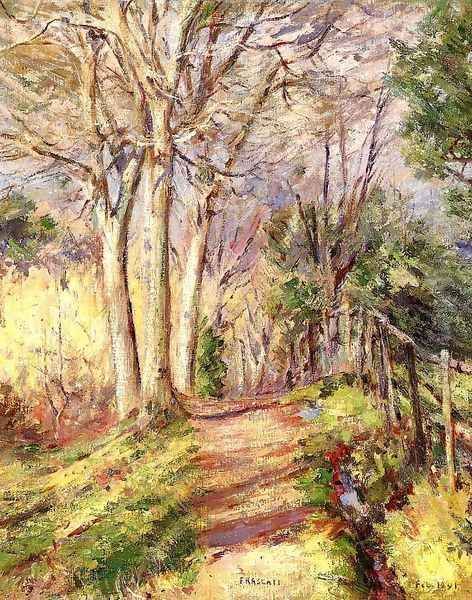 Path in Frascati - view 1