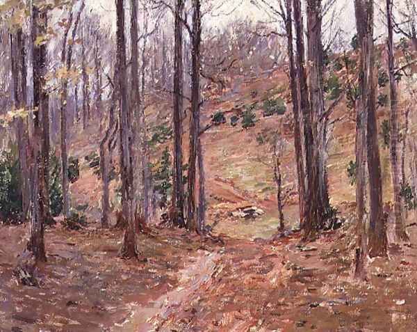 Virginia Woods, 1893 - view 1