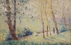 Ruisseau En Ete