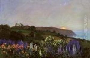 Delphiniums On A Hillside At Sunset