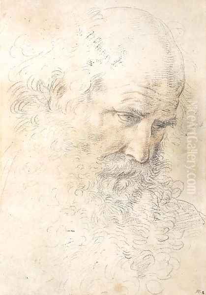 The head of a bearded man looking down - view 1