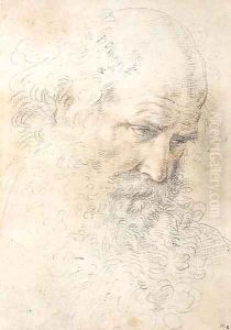 The head of a bearded man looking down by Guido Reni