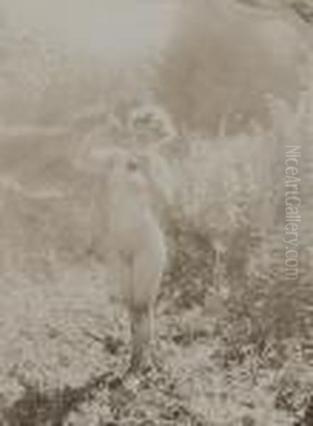 Untitled (study Of Nudes) - view 1