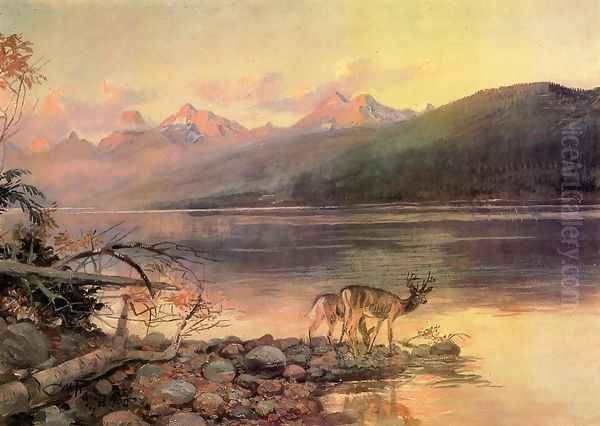 Deer at Lake McDonald - view 1