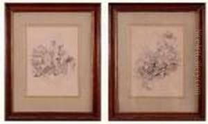 Deux Illustrations Pour Un Voyage En Inde by Alphonse Maria Mucha