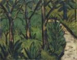 "wald Und Fluss"