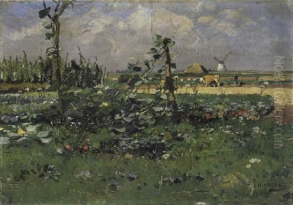 Sommerlandschaft Mit Windmuhle - view 1
