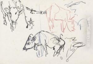 Kuhe. by Albert Muller