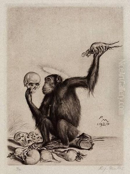 "encephalocranioskopie" / "eine Anfrage" - view 1
