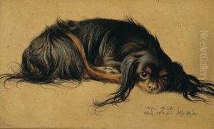 Pekinese by Richard Muller
