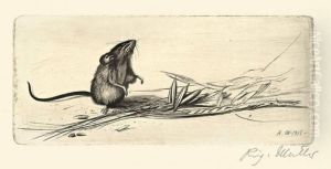 Maus Mit Nuss