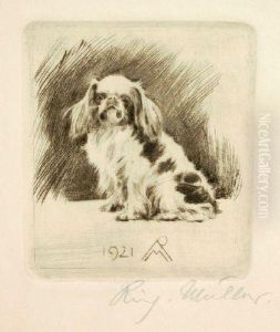 Pekinese Sitzend