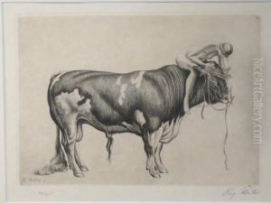 Europa Auf Dem Stier Europa Auf Dem Stier