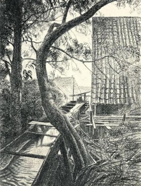 "muhlgraben In Schwalenberg, Lippe" / "vom Blitz Gespalteneeiche" - view 1