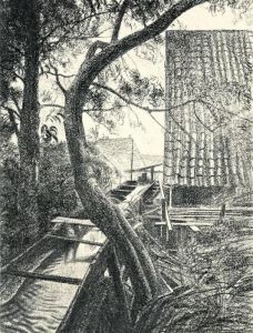 "muhlgraben In Schwalenberg, Lippe" / "vom Blitz Gespalteneeiche"