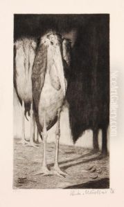 Marabu-paar Marabu-paar
