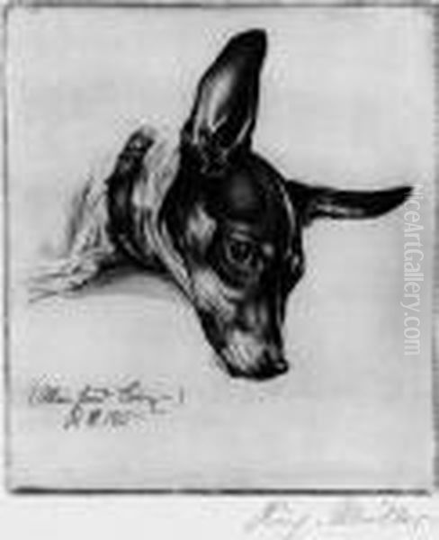 Mein Hund Boy - view 1