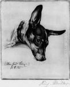 Mein Hund Boy by Richard Muller