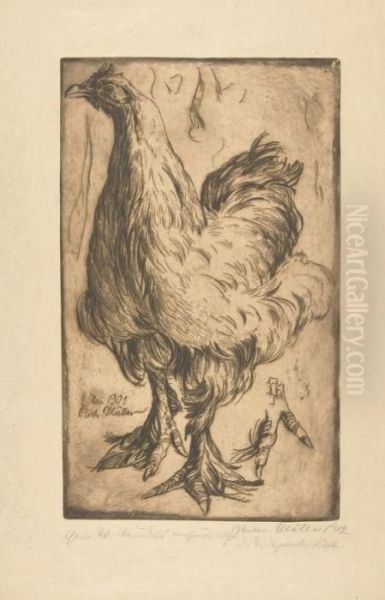 Huhn. - view 1