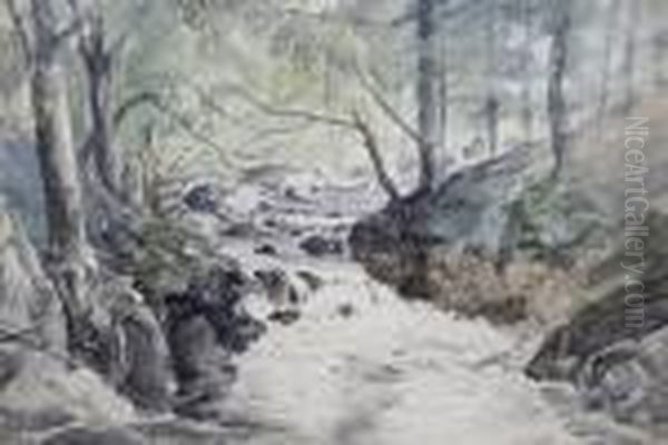 Woodland Stream - view 1