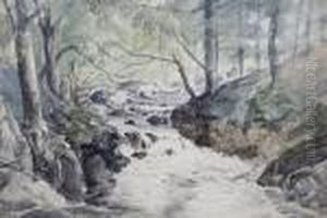 Woodland Stream Woodland Stream