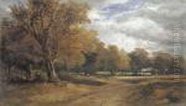 An Wooded Landscape With Sheep - view 1