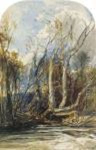 Vines On The Bank Of A River Near Masry, Asia Minor