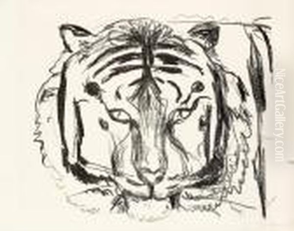 Tiger Head Ii - view 1