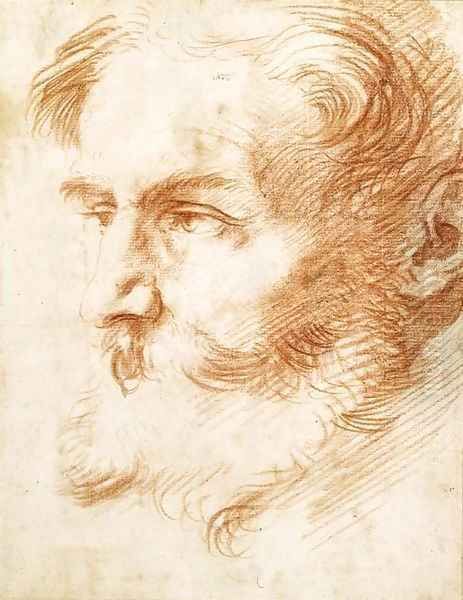 Head of a bearded man, looking to the left - view 1