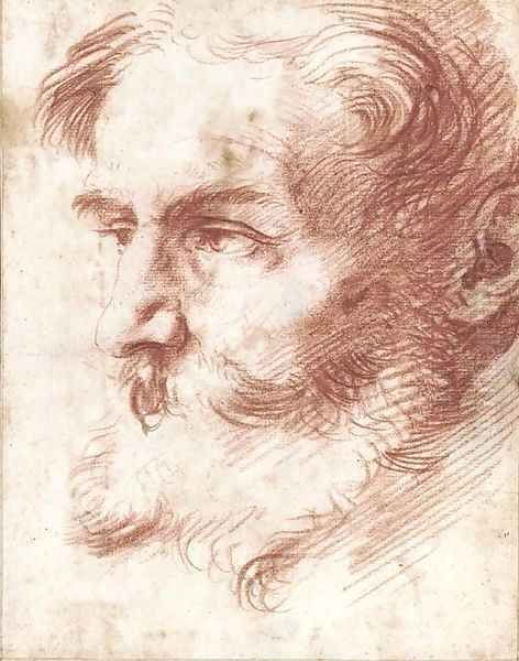 Head of a bearded man, looking to the left 2 - view 1