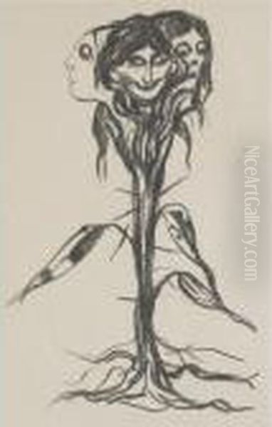 Vignette: Amaryllis (w. 339) - view 1