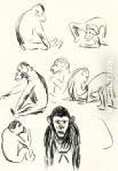 Apes (w.332) - view 1