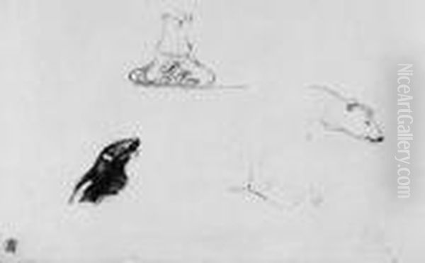 Seehund Und Eisbar - view 1