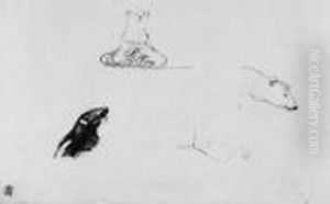 Seehund Und Eisbar Seehund Und Eisbar