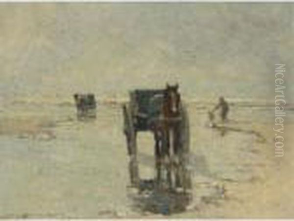 Shell Fishers, Dutch Coast - view 1