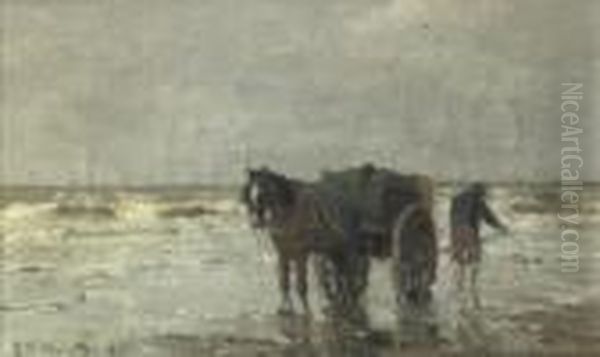 Shell Fisher On The Beach - view 1