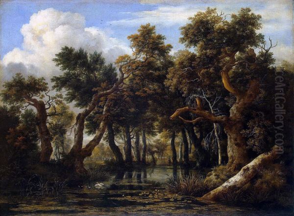 The Marsh in a Forest c. 1665 by Jacob Van Ruisdael