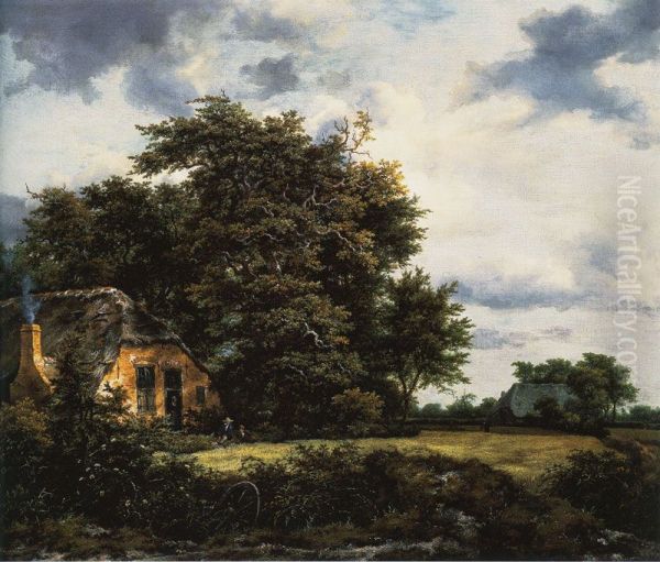 Cottage under trees near a grainfield - view 1