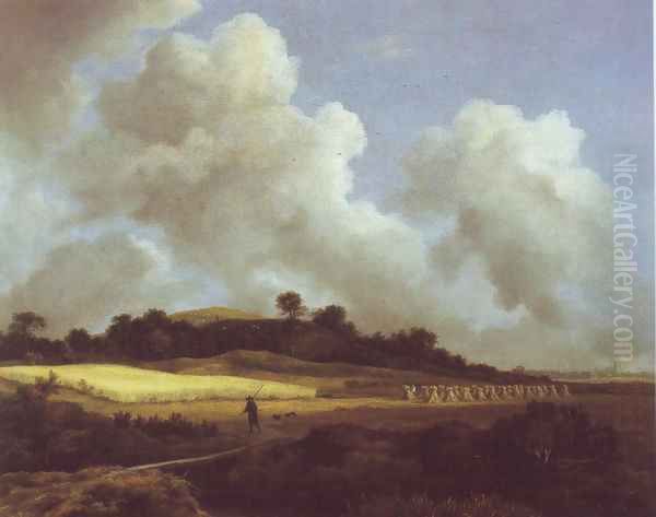 View of grainfields with a distant town - view 1