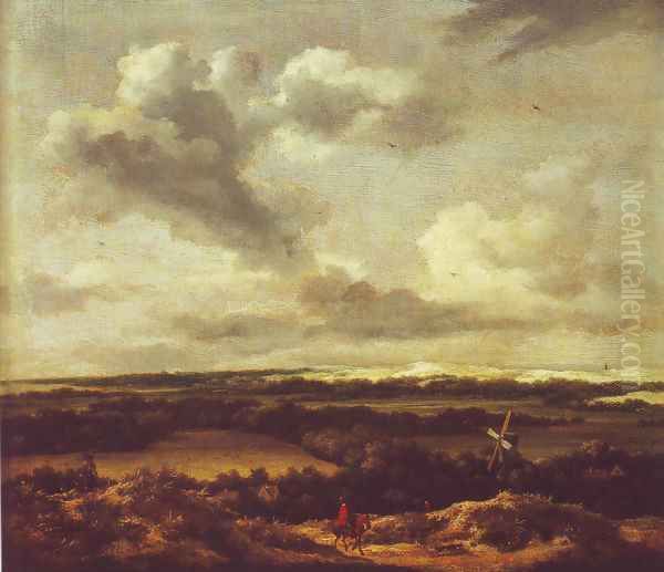 Dune landscape with a rabbit hunt - view 1