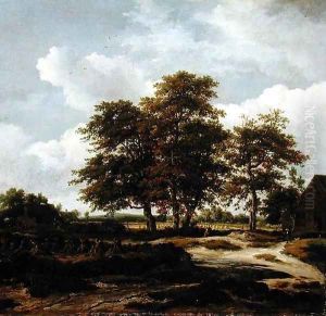 Wooded Landscape with Cornfields 1655 60 by Jacob Van Ruisdael