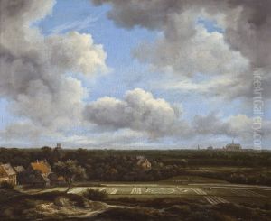 View of the plain of haarlem with bleaching grounds View of the plain of haarlem with bleaching grounds
