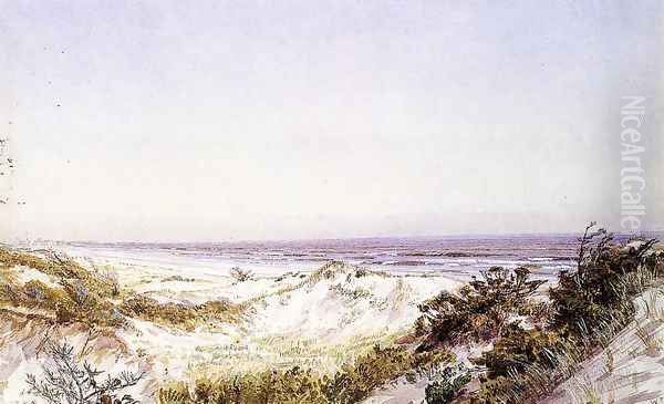 Atlantic City - Beach Dunes and Grass - view 1