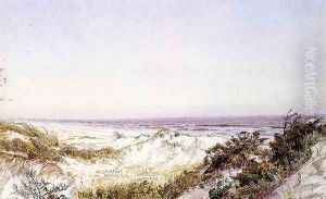 Atlantic City - Beach Dunes and Grass